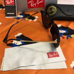 Ray-Ban Erika RB4171 Sunglasses, 54mm